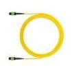 F9TRP5N5NANF121 Fibre Optic Cable Assemblies