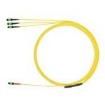 F9URLENG4ANM020 Fibre Optic Cable Assemblies