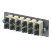 FAP6WBLDSC electronic component of Panduit