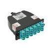 FC2XN-24-10B1 electronic component of Panduit