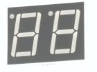 FYD-5621DS-11 
