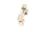 GTE750 Cartridge Fuses
