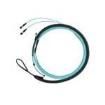 FWTYL7575LAM047 Fibre Optic Cable Assemblies