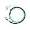 FWTYP7575KNF018 Fibre Optic Cable Assemblies