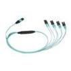 FX8HP5NLSQNF031  Wire & Cable