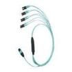 FX8HP5NLSQNF031 Wire Ducting & Raceways