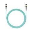 FXTRP6N6NANF019  Wire & Cable