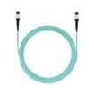FXTRP6N6NANF025  Wire & Cable