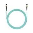 FXTRP6N6NANF035  Wire & Cable