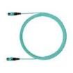 FXTRP7N7NBNM019 Fibre Optic Cable Assemblies