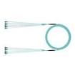 FXTYPL2L2SAF020 Fibre Optic Cable Assemblies