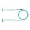 FXTYPL2L2SAF100 Fibre Optic Cable Assemblies