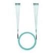 FXTYPL2L2SAF250  Wire & Cable