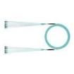 FXTYPL2L2SAF300 Fibre Optic Cable Assemblies
