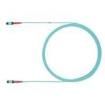 FXURLENENXNM024 Fibre Optic Cable Assemblies