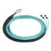 FXWSP5E5EAAF006  Wire & Cable