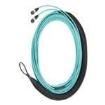 FXWSP5E5EAAF006 Fibre Optic Cable Assemblies