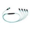 FZ8HL5NLSQNM005  Wire & Cable