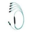 FZ8HL5NLSQNM005 Fibre Optic Cable Assemblies