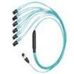 FZTHL6NLSSNM006 Wire Ducting & Raceways