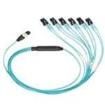FZTHP5NLSSNF013  Wire & Cable