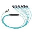 FZTHP6NLSSNF041  Wire & Cable