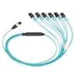 FZTHP6NLSSNM002  Wire & Cable