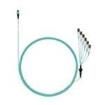 FZTRP8NUFSNF036  Wire & Cable