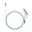 FZTRP8NUFSNF081  Wire & Cable