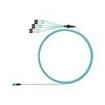 FZTRP8NUHSNF069 Fibre Optic Cable Assemblies