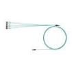 FZTRP8NUSSNF005 Fibre Optic Cable Assemblies