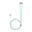 FZTRP8NUSSNF083  Wire & Cable