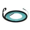 FZTYL5E5EAAM006  Wire & Cable