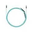 FZTYL7575XAM065  Wire & Cable
