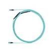 FZTYL7575YAM045 Fibre Optic Cable Assemblies