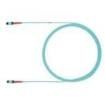 FZURLENENYNM006 Fibre Optic Cable Assemblies