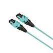 FZUYL5E5EAAM025  Wire & Cable