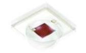GA CSSPM1.23-KSKU-W3-0  Optoelectronics