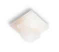 RA6(50 PACK)  Wire & Cable