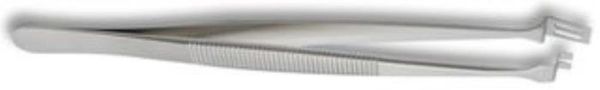 2WFG.SA  Tools & Supplies