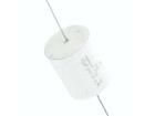 JSX-22U/250-5% Film Capacitors