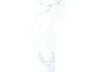 08133 Unclassified