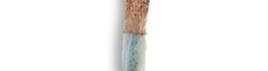 2170216T Multi-Conductor Cables