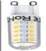 PEL00051 
