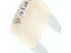 0MINI025.HXGLO Automotive Fuses