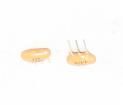 CST200MGW  Passive Components