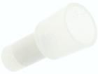CE2 
