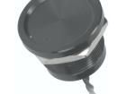 PS223Z10Y21 Pushbutton Switches