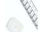 OSG5DAS1C1A-LM Standard LEDs - SMD
