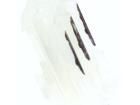 CE100F24-02-D Unclassified